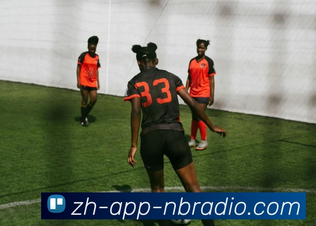 纬来体育服务体系